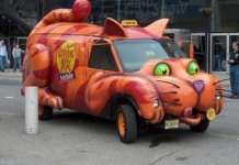 Top-10-Vehicles-That-Look-Like-Cats-10.jpg