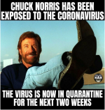 1584437238-chuck_norris.png