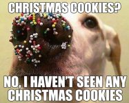 its_the_christmas_meme_season-17.jpg