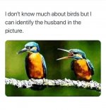 0C05D792-9A3A-4772-9F15-1BCE3C61D7AF.jpeg