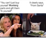 1608576342851.png