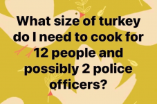 1608588393717.png