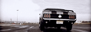 20173489_12_300_105.gif