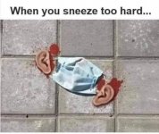 FB_IMG_1610933102158.jpg