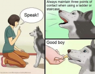 1611053312760.png