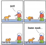 1612691115644.png