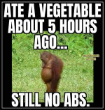 1612970746898.png