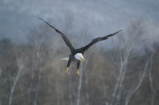 4A489D23-9B2C-4420-80F4-842CCF37FD16.jpeg