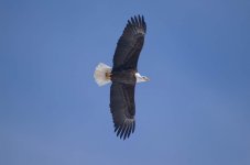 979A6C3D-38C1-4700-881F-AE2959F0FDC2.jpeg