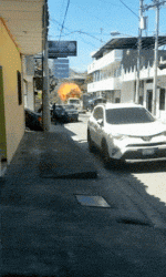 20181177_12_300_500.gif
