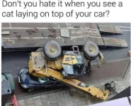 1614280315269.png
