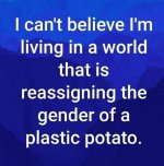 FB_IMG_1614468876126.jpg