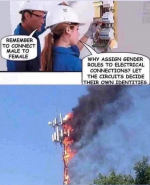 1614622535878.png