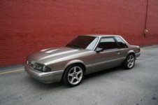 ba74395d65cca6b437a8d8f474109885--silver-foxes-fox-mustang.jpg