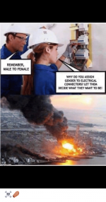 remember-male-to-female-why-do-you-assign-gender-to-45402483.png