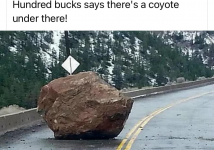 1615234253091.png