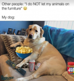 1616705031802.png