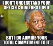 1617055823971.png