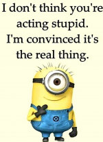 1618462324161.png