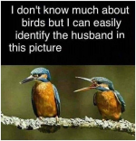 1618522588118.png