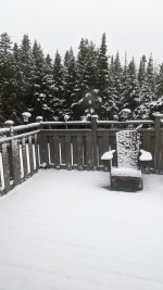 PXL_20210417_105125074.jpg