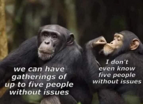 1619812783754.png