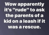 1619891046365.png