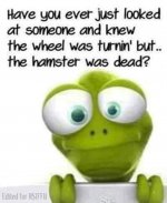 FB_IMG_1620397166685.jpg