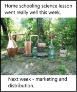 1621034435417.png