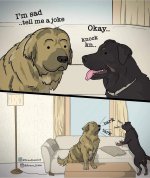 FB_IMG_1621868790318.jpg