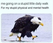 1622146645772.png