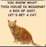 1623796011692.png