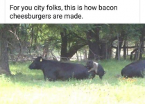 1624180570892.png
