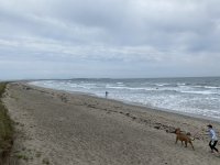 1F1BDDF6-577F-4B8A-A05E-23F814D29737.jpeg