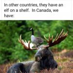 1626731952330.png