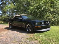 05 gt 5spd.jpeg