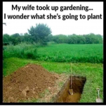 1629753160340.png