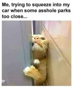 569E1861-2D1B-4755-BFDF-685BB25691AB.jpeg