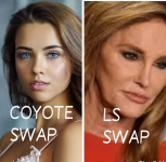 1630512179979.png