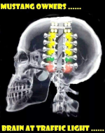 1630873686173.png