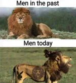 1631222856754.png