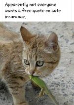 CD16862B-BDEB-4A10-856F-D8859F095C67.jpeg