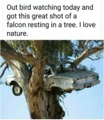 5953B0F7-9650-4276-90BA-2505FA4A33D7.jpeg