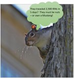 Nuts.JPG