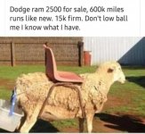 3CF4EBB2-9CA9-4881-9336-CA922BE2372D.jpeg