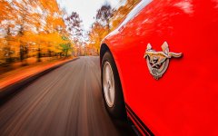 mustang-autumn_road.jpg