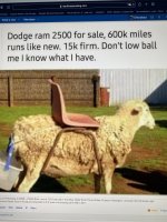 E217D358-D72E-435B-99A2-3ACB087890AD.jpeg