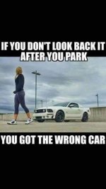 981FCA0C-BA23-4CE5-B399-A91992A916DD.jpeg