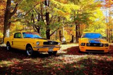 56476C4E-0EA1-48BE-9CE3-C90E3192BCA2.jpeg