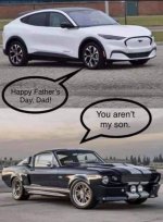 F92251CD-E957-4E1D-B6CC-6877936F7129.jpeg